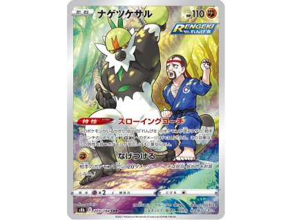 Passimian 203/184