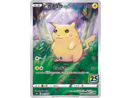 Pikachu 001/028