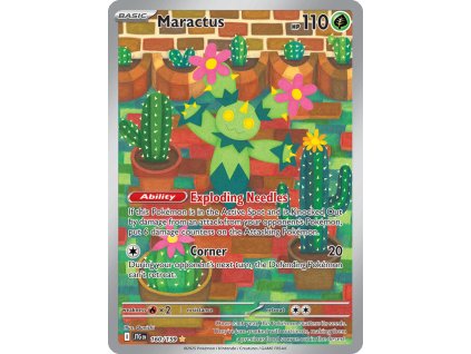 Maractus 160/159