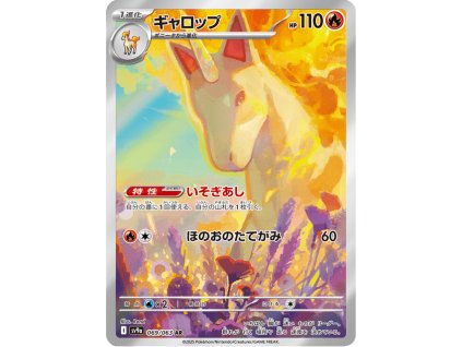 Rapidash 069/063