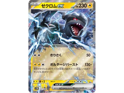 Zekrom ex 037/086