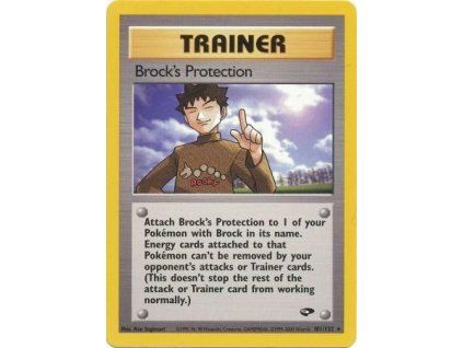 Brock's Protection 101/132