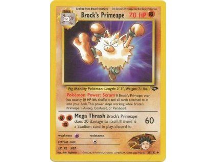 Brock's Primeape 35/132