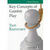 6792 key concepts of gambit play