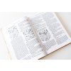 Pochopenie strednej hry