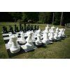 Chess pieces and board
