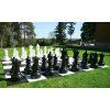 chess pieces and board 2