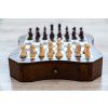 9131 5 magnet master chess