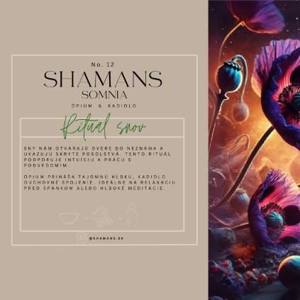 no.12 Shamans Somnia - rituál snov