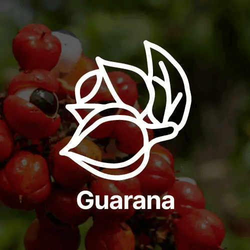 Guarana