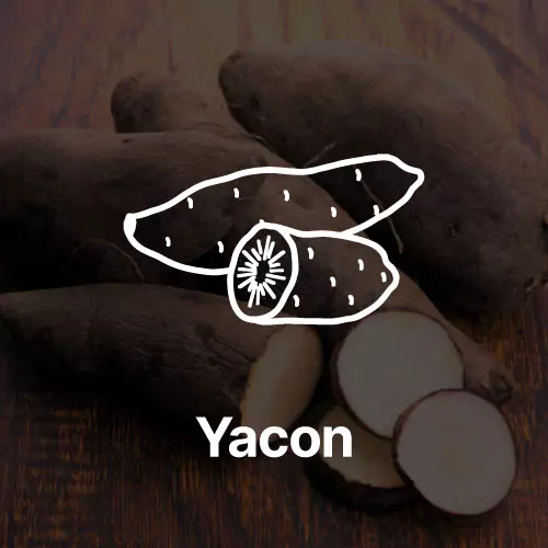 Yacon