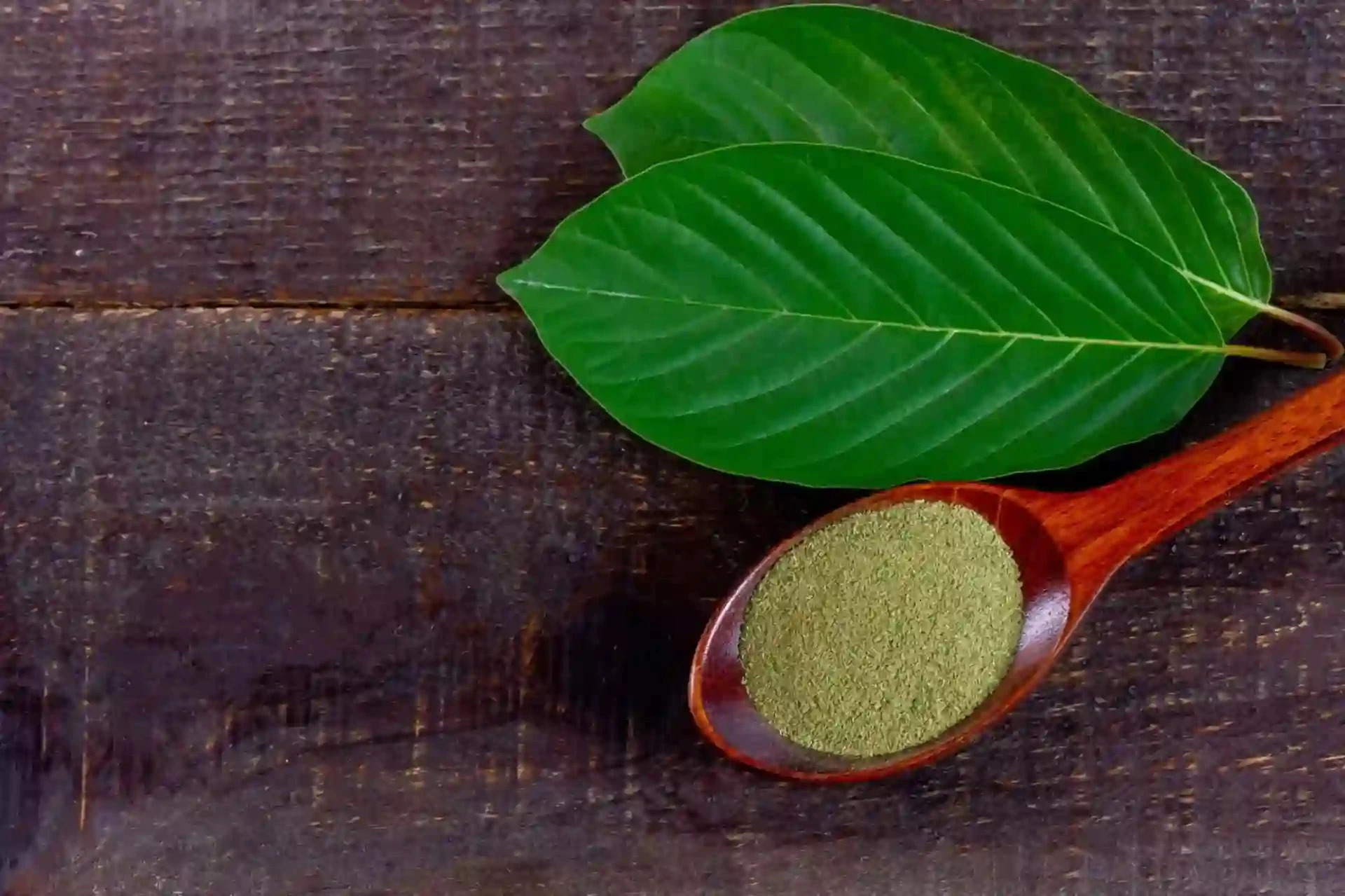 Kratom dávkování: bezpečné zásady