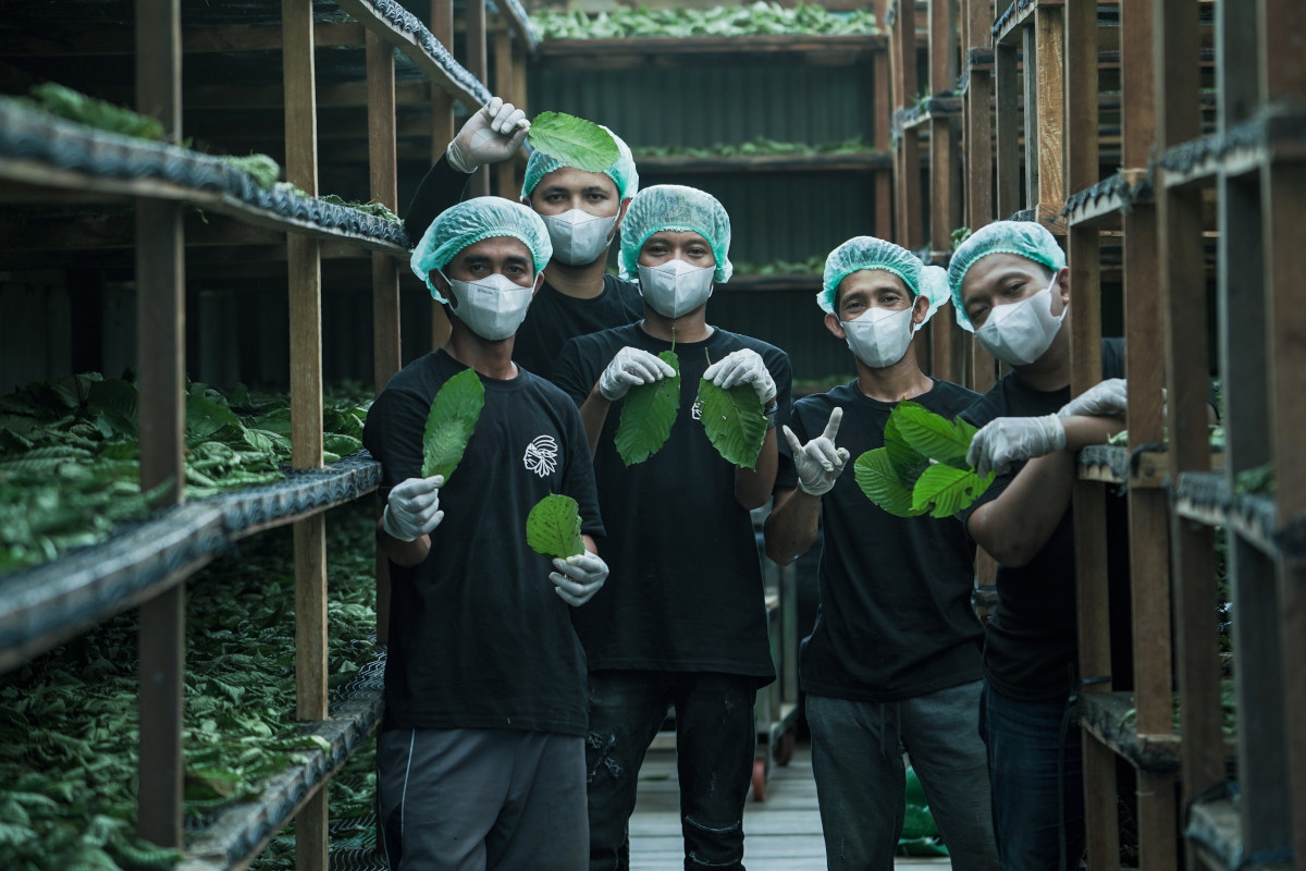 Kratomový e-shop s licencí