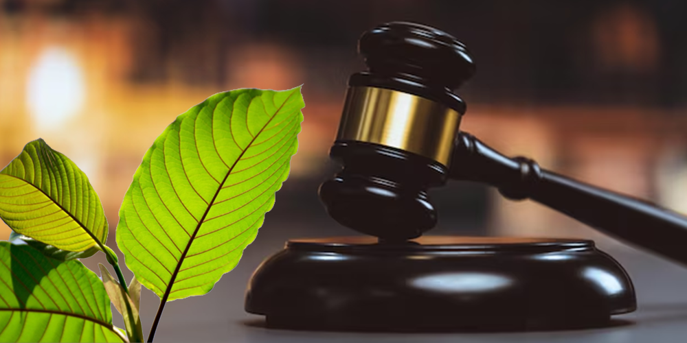 Aktuální legislativa k prodeji kratonu: co se může změnit