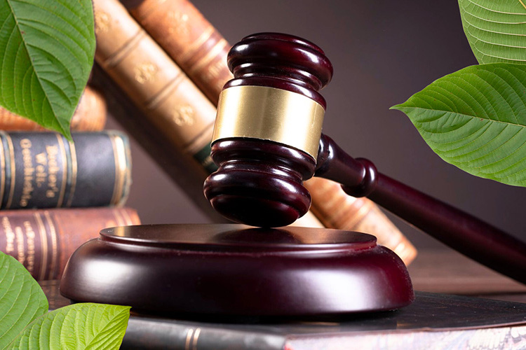 Kdy bude kratom znovu v prodeji