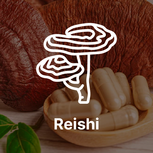 Reishi