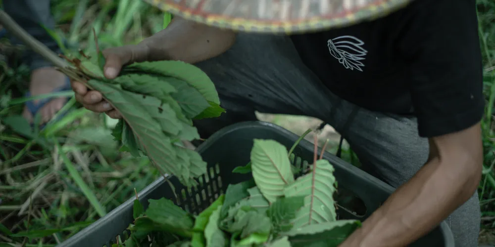 Doručení podle nové legislativy