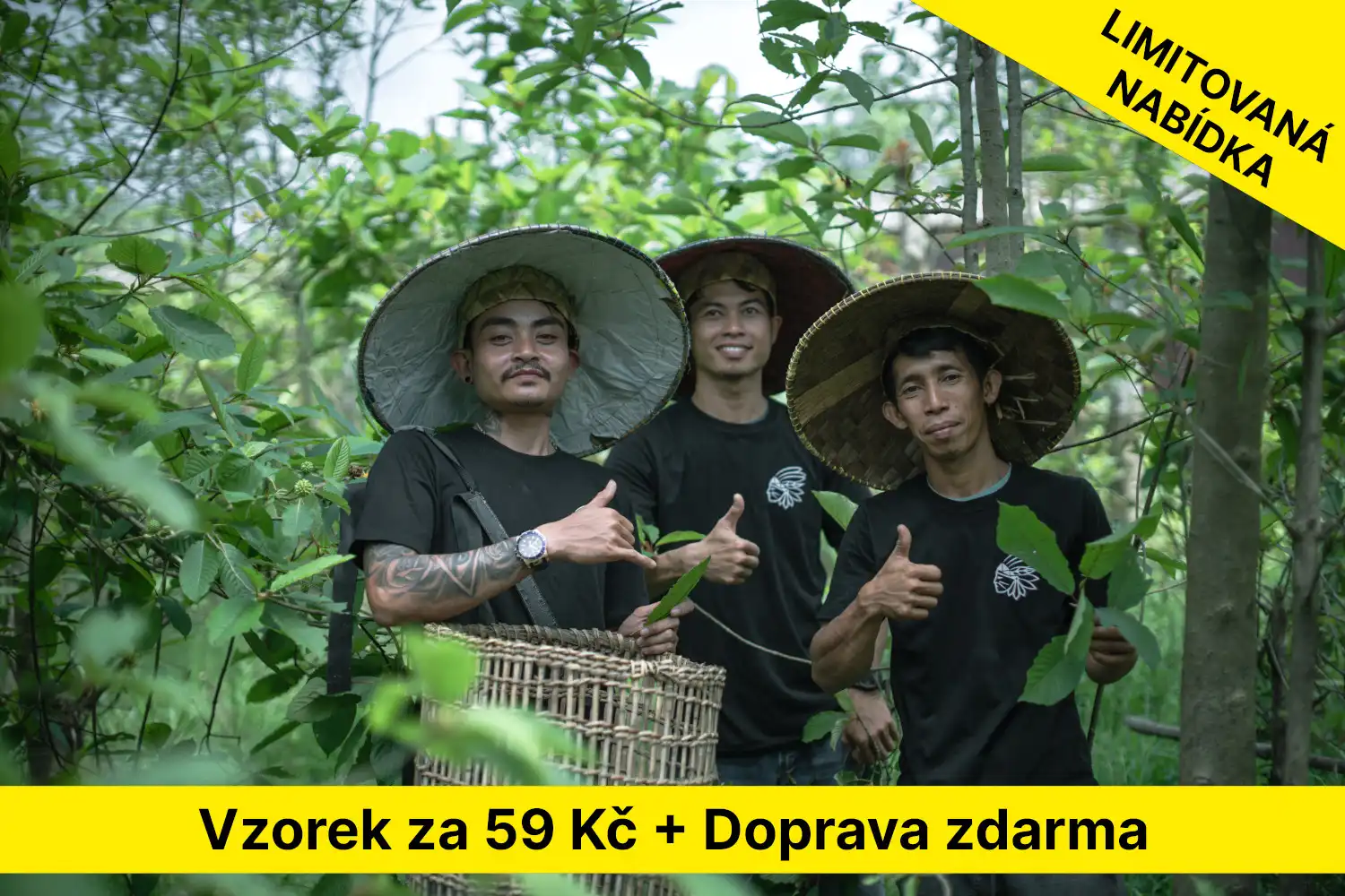 Kratom vzorky
