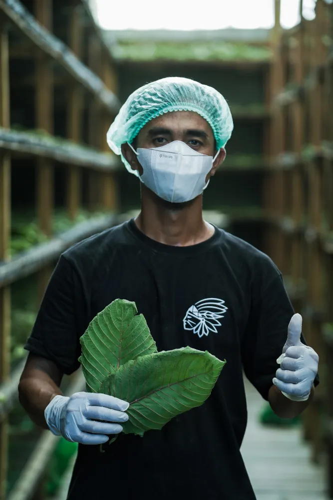 Často kladené dotazy ohledně kratomu
