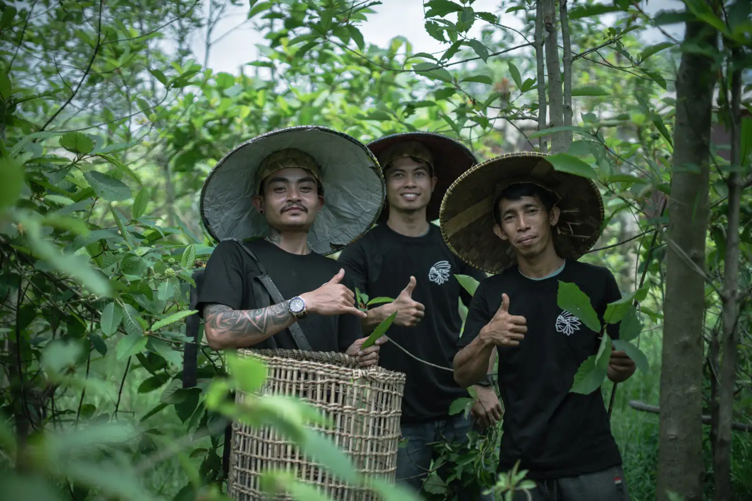 Obchod Shamind - Kratom prodej po regulaci