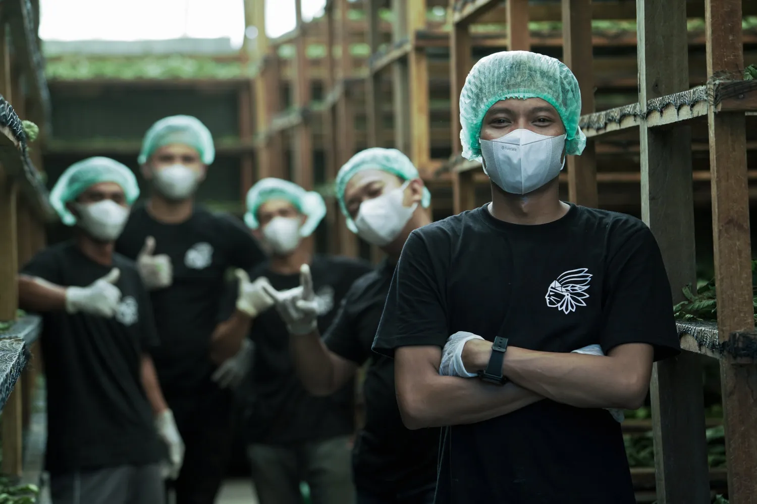 Specializované obchody - kde kratom koupit?