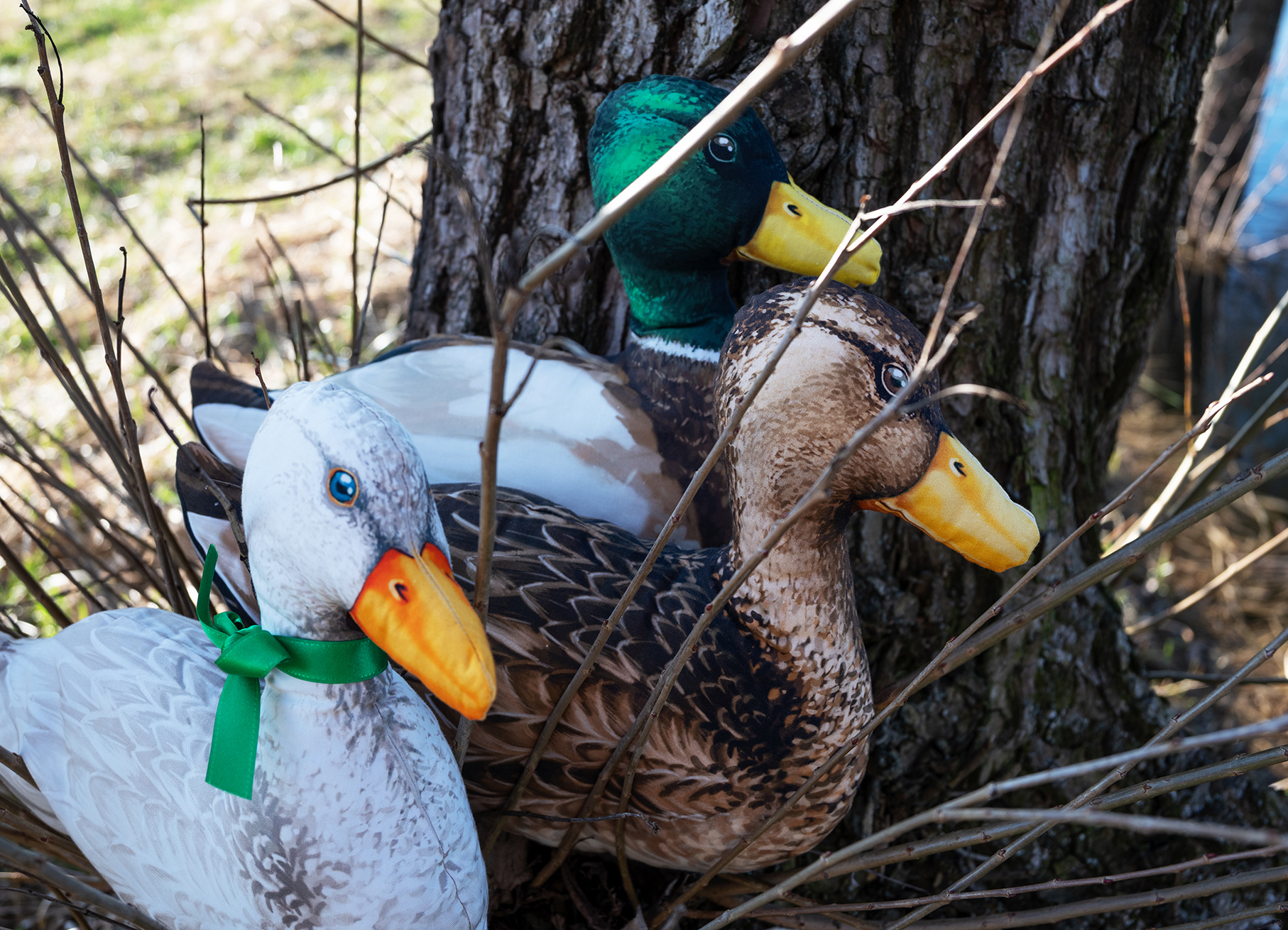 Návod na šití panel KACHNY