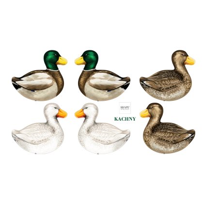 SHAPE_panel_kachny_siti_polstarek