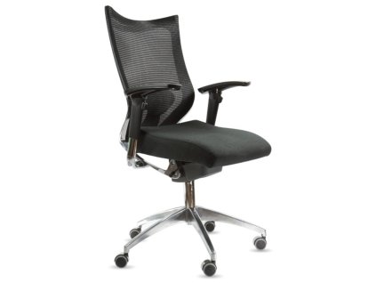 Spinergo Office - ergonomická stolička