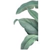 Tropické listy nálepky na zeď. Obrovské listy