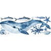 Ocean Animals Nálepky na stenu. Ocean Life pre detskú izbu