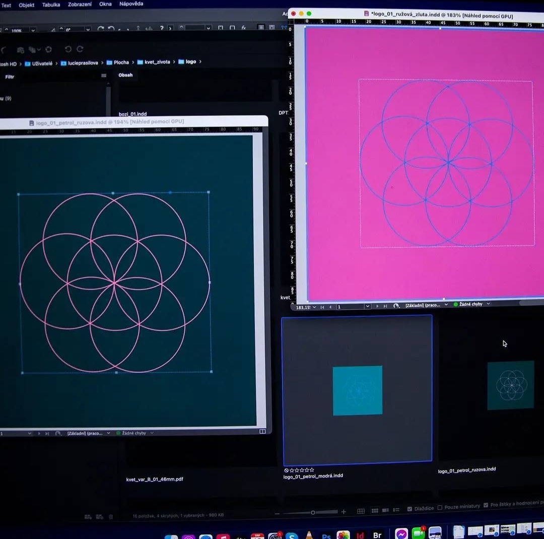 KVĚT ŽIVOTA JAKO SYMBOL