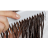 5 DTM Kamm Haare.jpg