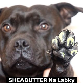 Dokonalá ochrana pre LABKY aj v tých najnižších teplotách ❄️ SHEABUTTER Na Labky 🐾
