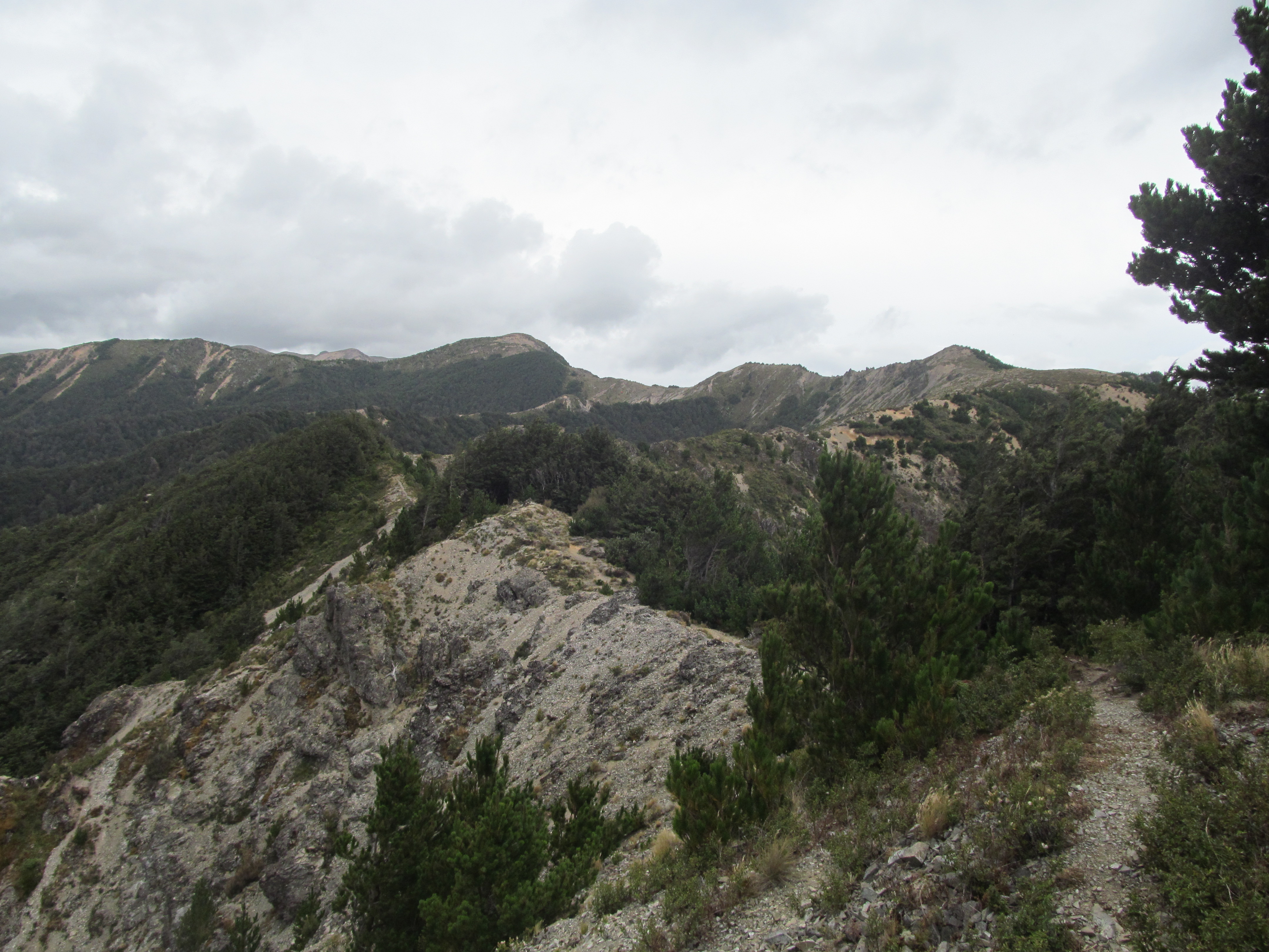 Kaweka Forest Park - Nový Zéland