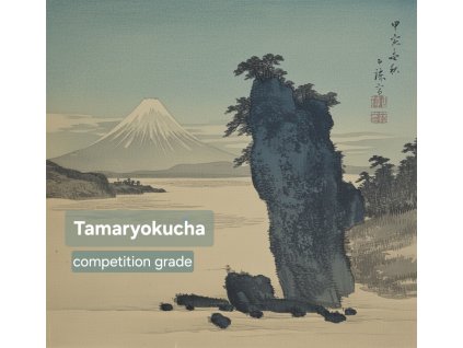 Japonský zelený čaj Tamaryokucha Shinryoku