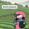 Japonský zelený čaj Sencha Saotome