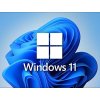 windows 11