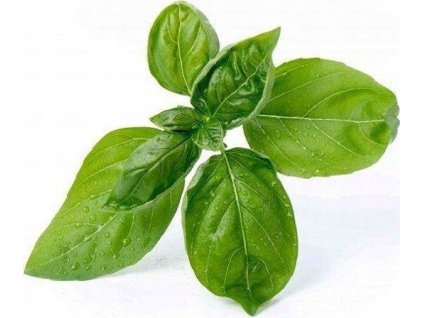 Véritable Lingot Sladká Basalka - bio