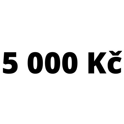 5000 Kč