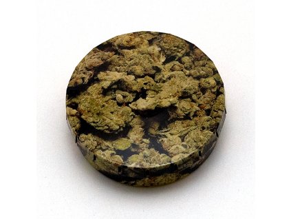 Krabička Click-Clack Buds