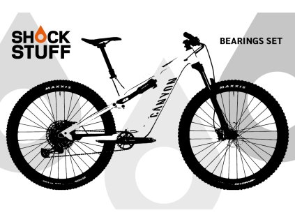 canyon neuron 5 wmn 2021