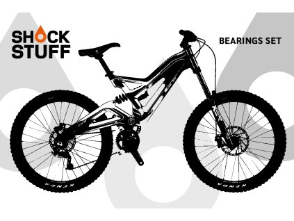 gt fury 2008