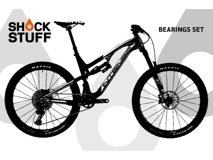 intense recluse 2017 2019