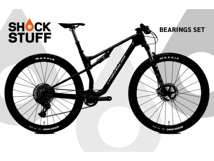 merida ninetysix 2022 2024