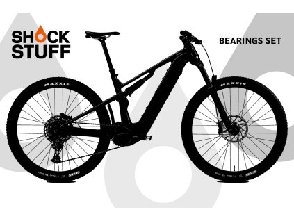 merida eone forty 2024 2025