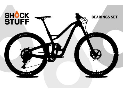 niner riprdo 2016 2023