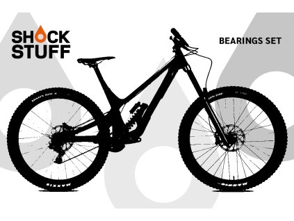 Norco AurumHSP 2019
