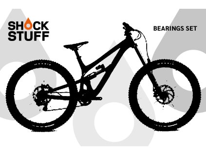 pivot phoenix2019 2023