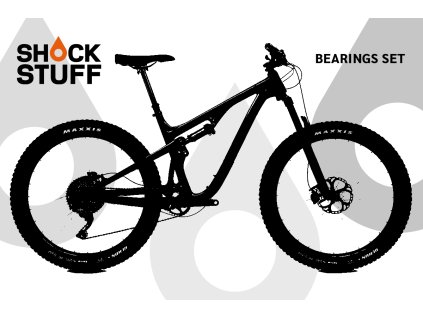 pivot trail429 2019 2020