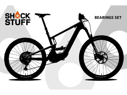 santacruz heckler8mx 21 22